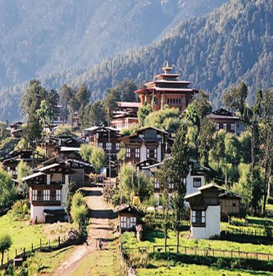 gangtey gogona tour trek